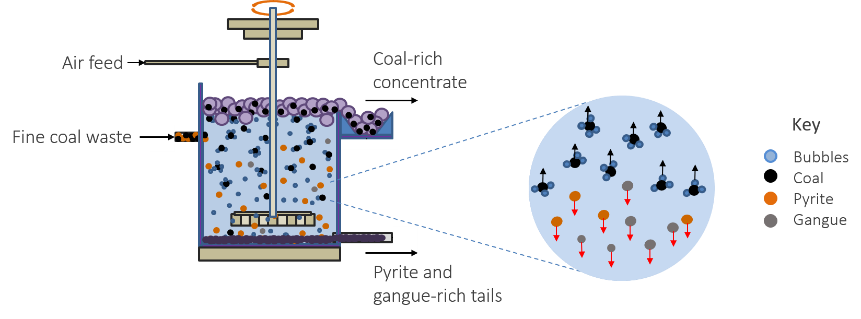 Low-cost fatty-acid forther for coal flotation.